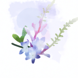 Adobe İllustrator Eğitimi