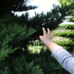 Bebeklerde Doğa ve Çevre Farkındalığı