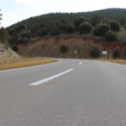 Doğal Ortamlarda Hayatta Kalabilmenin Yolları: Uzman Görüşleri