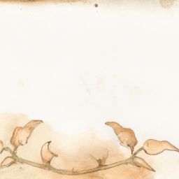 Nostaljik Kilimler ve Güzel Tasarımlar