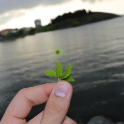 Doğal gübrelerin kullanımı hakkında bilmeniz gerekenler