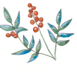 Yabancı Dil Öğrenirken Konuşma Becerisini Nasıl Geliştirebilirsiniz?