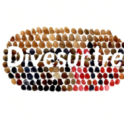 Tayland’da Yöresel Kültürler