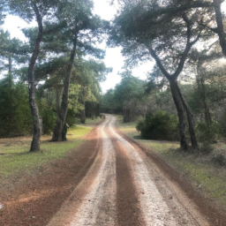 Orman yangınları ve önleyici tedbirler hakkında bilgi