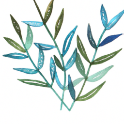 Doğal kozmetik ürünleri hakkında bilinmesi gerekenler