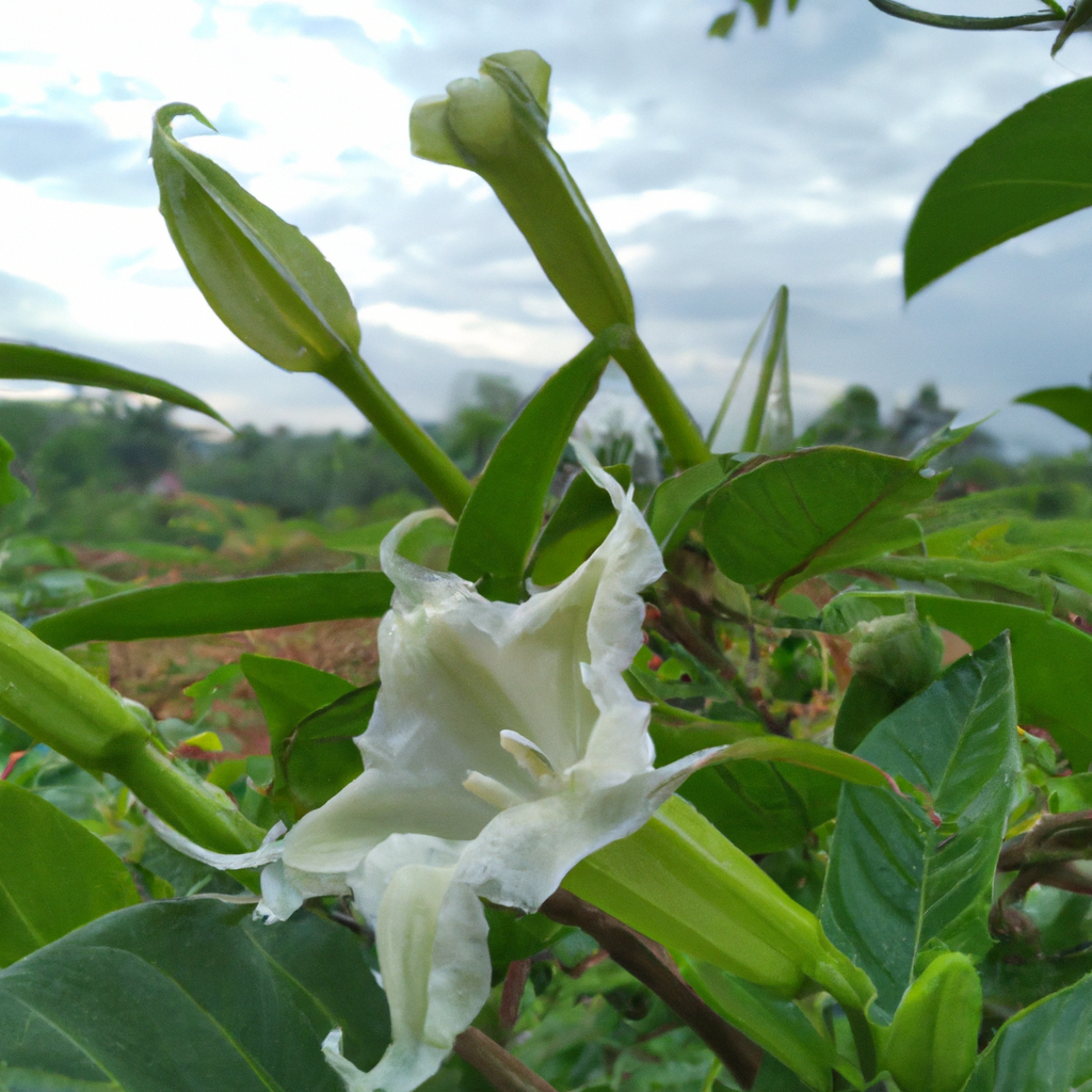 Yazılım Mühendisliği ve Kişisel Verilerin Korunması