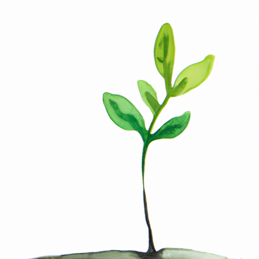 Korkular ve Bunlarla Başa Çıkma Yolları