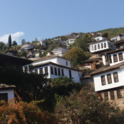 Şirince: İzmir'in küçük bir köyü olan Şirince'nin tarihi evleri ve şarapları