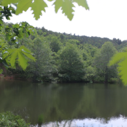 İlginç Doğa Olayları ve Fenomenleri