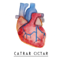 Pilatesin kalp sağlığı üzerindeki etkisi