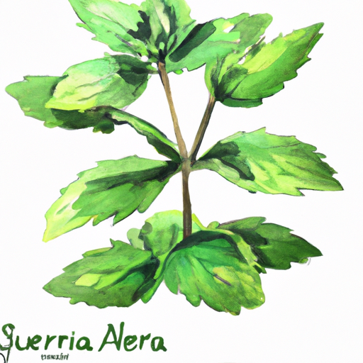 Diyabet İçin Doğal Şeker Alternatifleri Nelerdir?