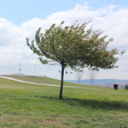 Doğa ve Fotoğraf: Muhteşem Manzaraları Yakalamak