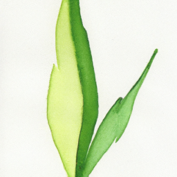 Modern Dekorasyon Fikirleri ve Minimalist Tasarım