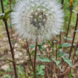 Doğa Fotoğrafçılığı: Püf Noktaları