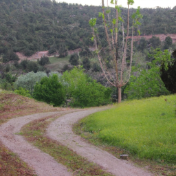 Doğa Yürüyüşü Sırasında Yiyecek Hazırlama: Temel Bilgiler